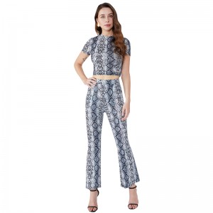 Leopard Print Bodycon Shorts Trendy Two Piece Set Women Clothing